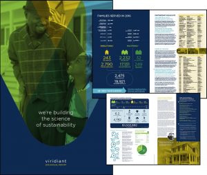 Cover for Viridiant's 2016 Annual Report