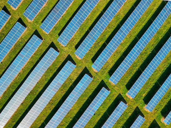 field of solar panels