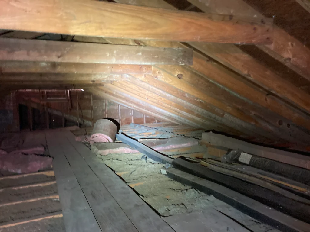 attic before audit