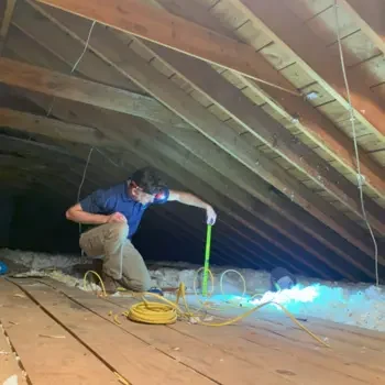 Green innovation Green innovation